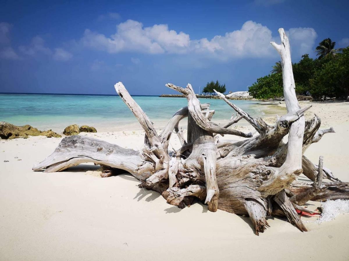 String Wave Maldives Gulhi Exterior foto
